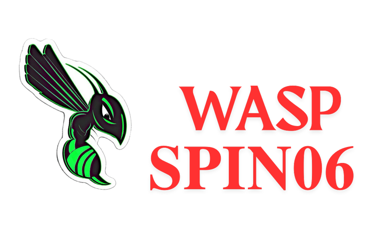 waspspin06.info